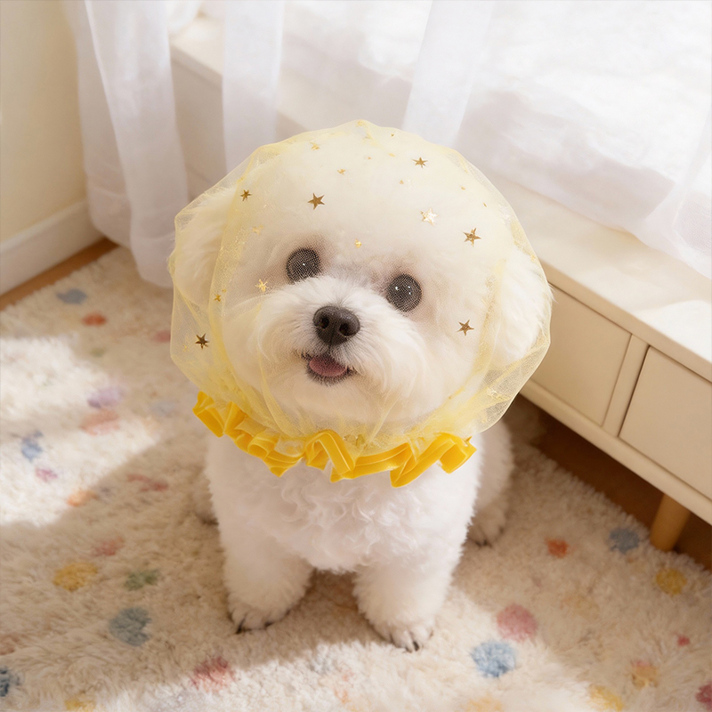 Pet Supplies York - 抗吠えサマードッグキャップ屋外弾性透明スパンコール星ペット子犬用品通気性ヨークチワワアクセサリー