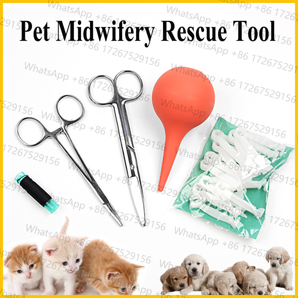 Pet Supplies Application - 1SET ペット犬猫羊水吸引器、鼻腔妊娠分娩キット用品、臍帯はさみ、家庭用Cに適用可能