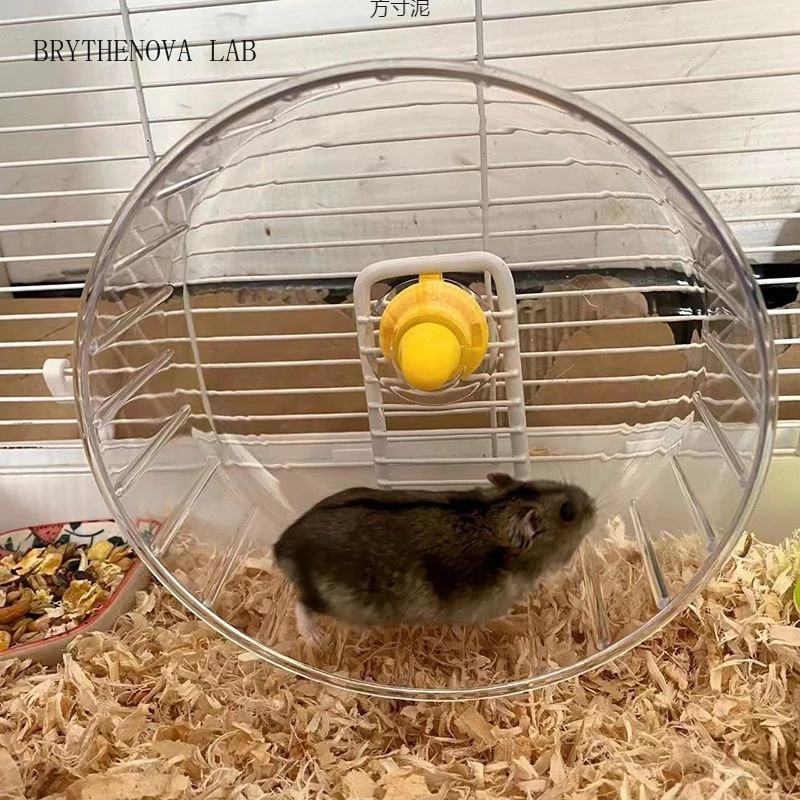 ハムスターランニングホイール スタンド付き クリア 大型 静 - Hamster Cage Wheel のレビューと価格