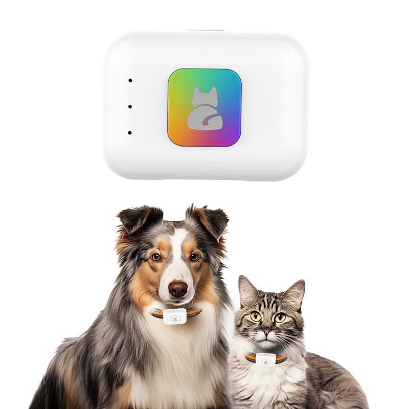 ペットGPS AGPS追跡デバイス 4GペットGPSトラッカ - Pet Gps Tracker Collar のレビューと価格