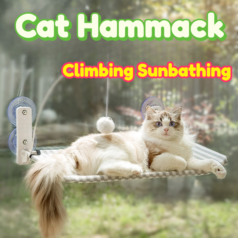 猫用ハンモック 窓掛け用パーチ 強力吸盤 折りたたみ式 取り - Interactive Cat Toy のレビューと価格
