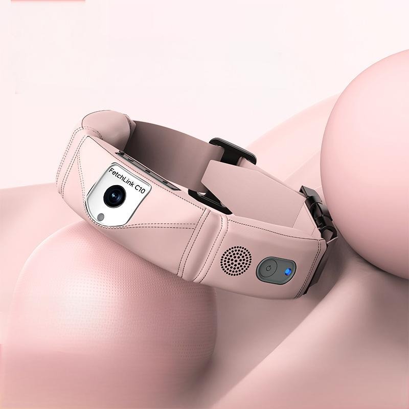 GPSトラッカー、4Kカメラ、AI音声コマンド、ライブPOV - Pet Gps Tracker Collar のレビューと価格
