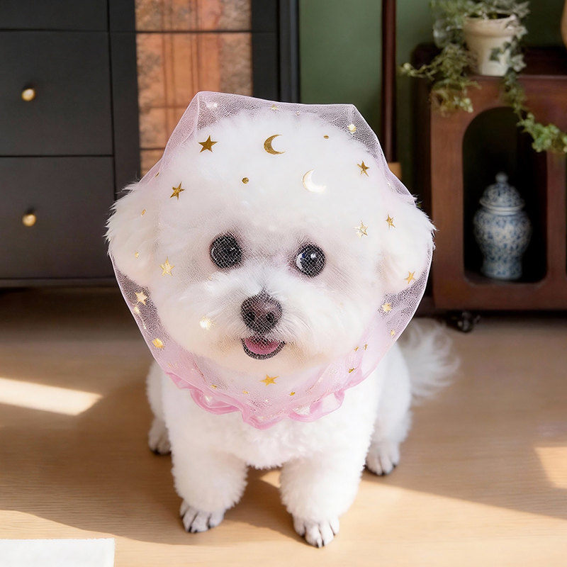 抗吠えサマードッグキャップ屋外弾性透明スパンコール星ペット子 - Pet Supplies York のレビューと価格
