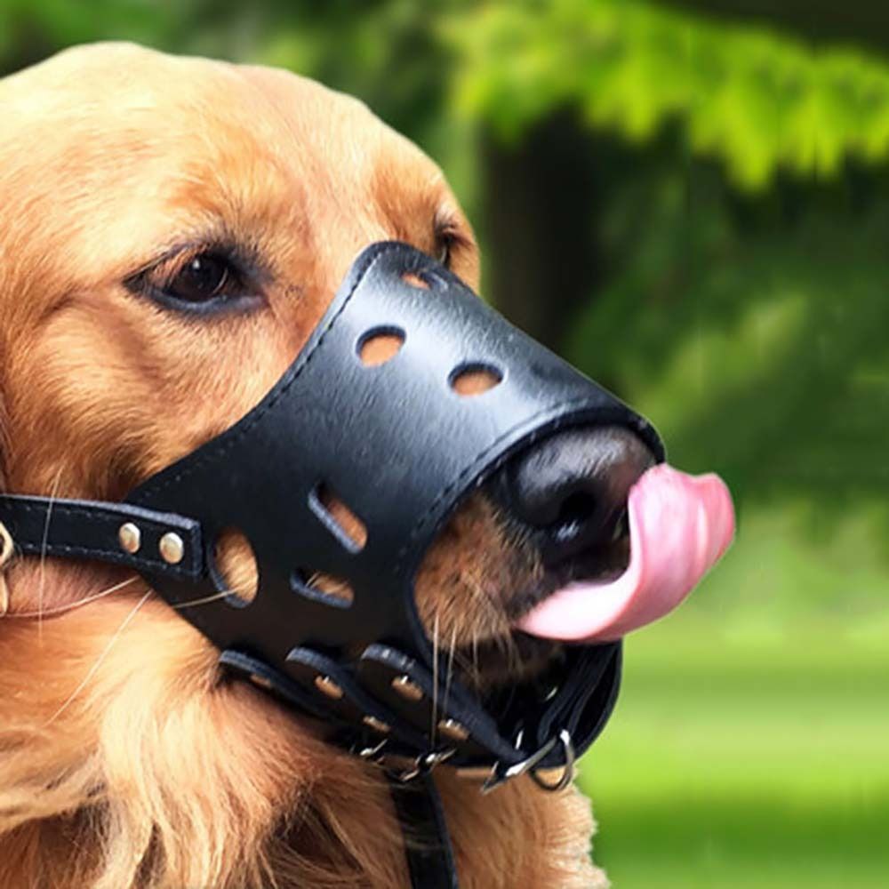 抗噛みつき安全防止アンチバーク咀嚼防止小型大型犬用ペット口カ - Pet Supplies Hours のレビューと価格