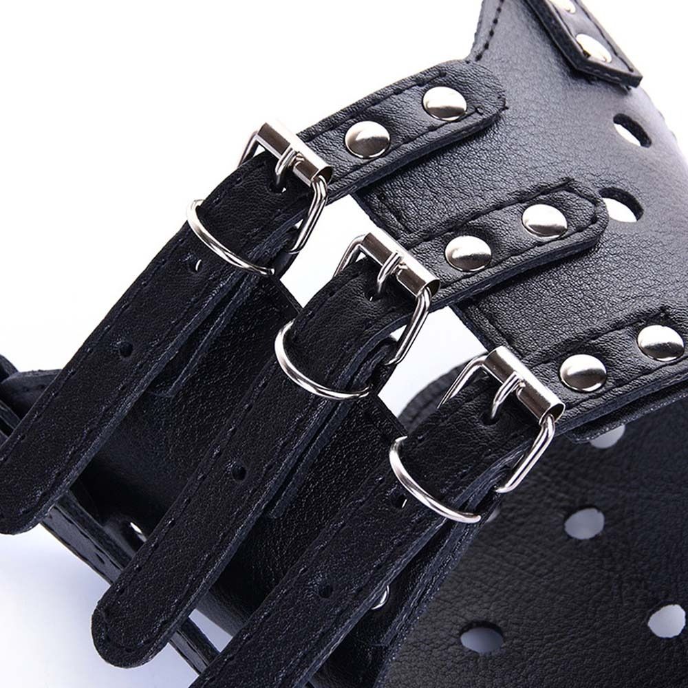 抗噛みつき安全防止アンチバーク咀嚼防止小型大型犬用ペット口カ - Pet Supplies Hours のレビューと価格