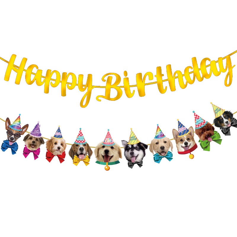 お祝い猫犬バナーキット笑顔のペットの顔パーティーハットメガネ - Pet Supplies For Dogs のレビューと価格