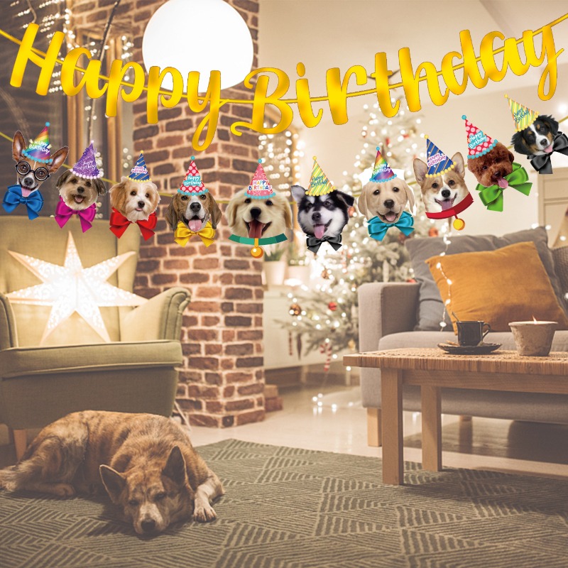 お祝い猫犬バナーキット笑顔のペットの顔パーティーハットメガネ - Pet Supplies For Dogs のレビューと価格