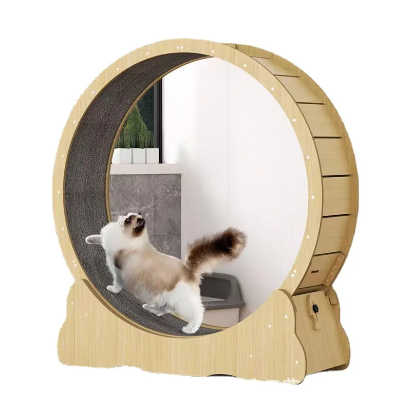 猫用フィットネスホイール 室内用おもちゃ 猫用インタラクティ - Interactive Cat Toy のレビューと価格