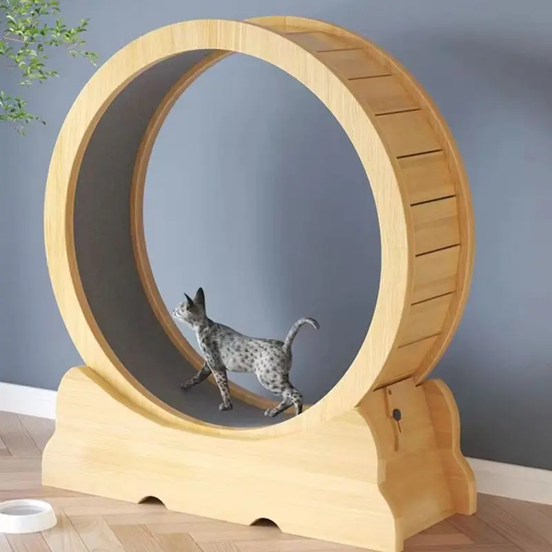猫用フィットネスホイール 室内用おもちゃ 猫用インタラクティ - Interactive Cat Toy のレビューと価格