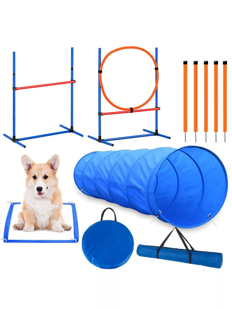 犬用障害物トレーニング競技用具 ジャンプポール バリアリング - Pet Supplies For Dogs のレビューと価格