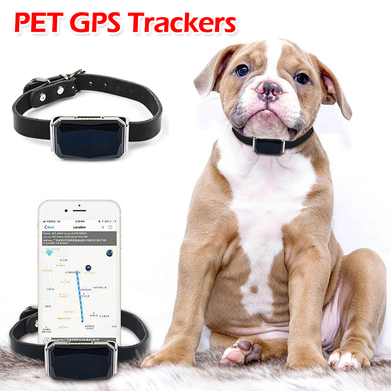 ペットGPSトラッカー 位置調整可能な首輪 迷子防止 スマー - Pet Gps Tracker Collar のレビューと価格