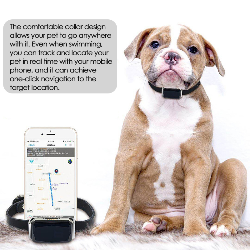 ペットGPSトラッカー 位置調整可能な首輪 迷子防止 スマー - Pet Gps Tracker Collar のレビューと価格