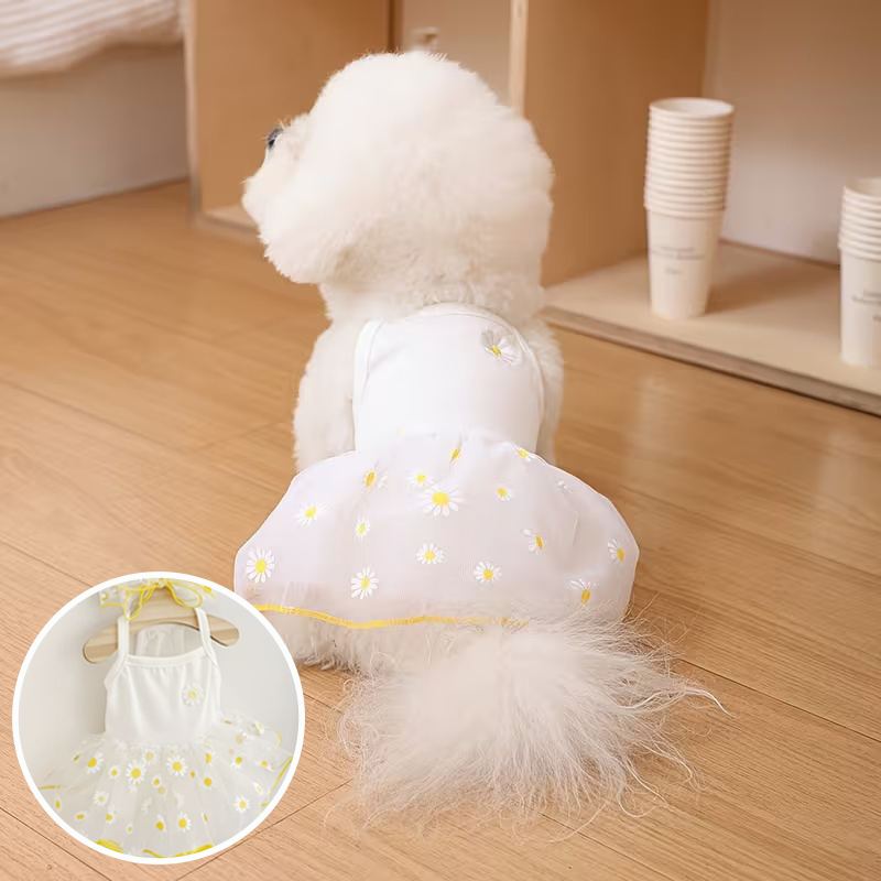 夏用薄手子犬用プリンセススカート犬服可愛いペット犬用ドレス小 - Pet Supplies York のレビューと価格