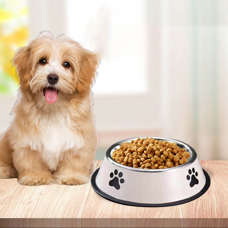 ステンレス鋼ペットボウル猫ボウル犬用フードボウル複数仕様落下 - Pet Supplies Hours のレビューと価格