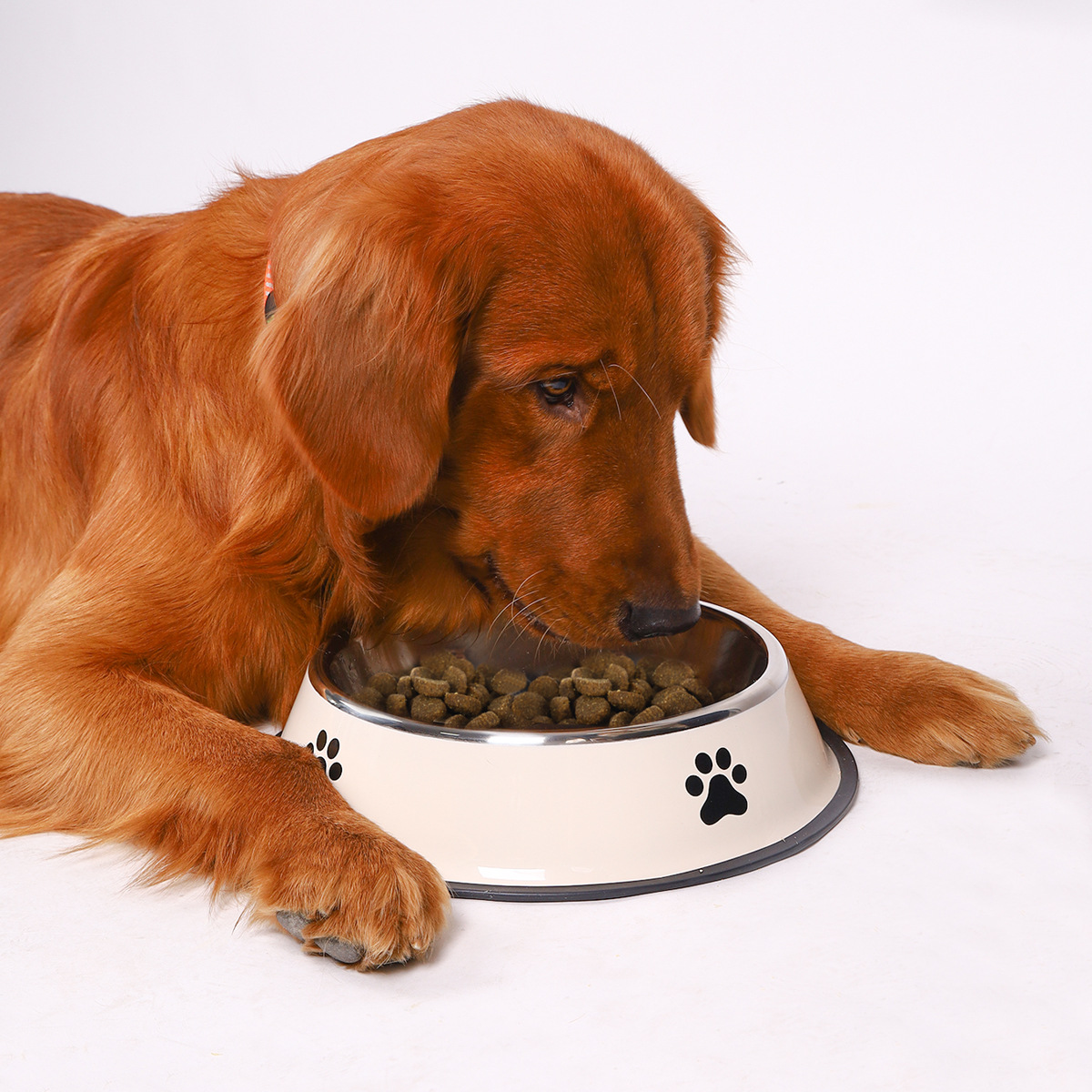 ステンレス鋼ペットボウル猫ボウル犬用フードボウル複数仕様落下 - Pet Supplies Hours のレビューと価格
