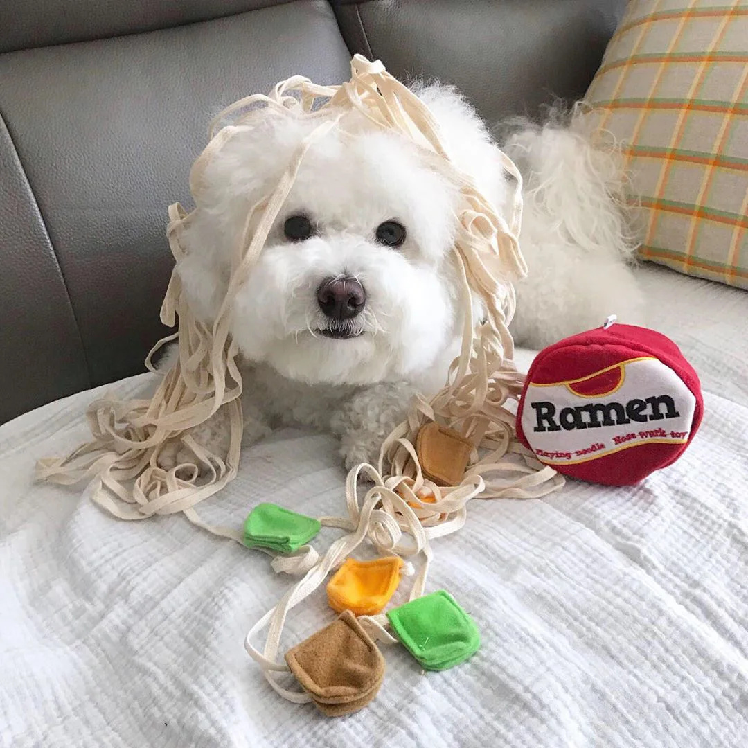 ペット用ぬいぐるみ,犬用漫画おもちゃ,ヌードル用 - Dog Treat Puzzle Toy のレビューと価格