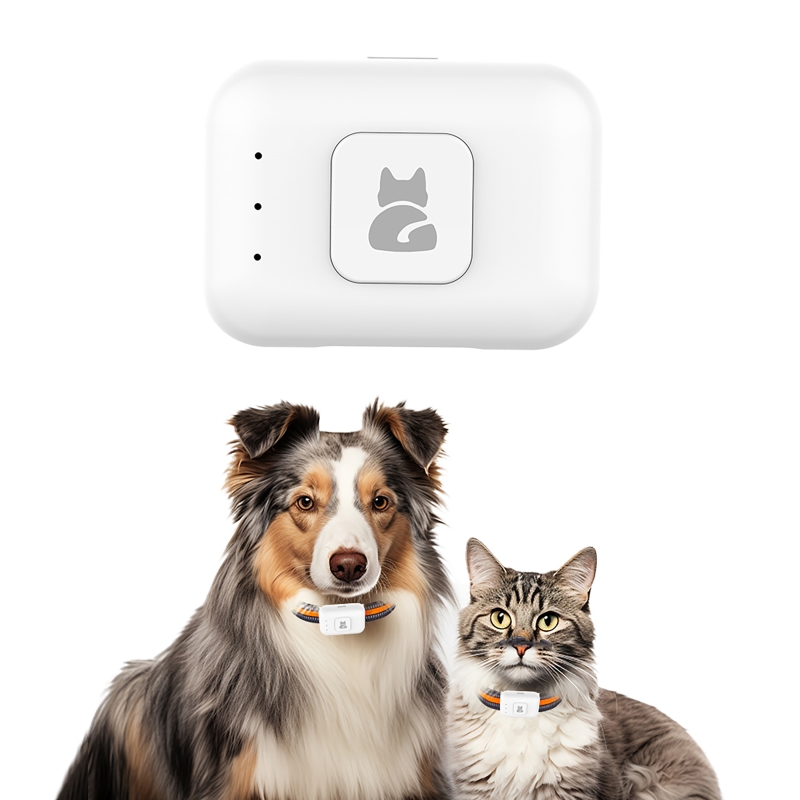 カラフルなLEDフラッシュ付きGPSペットトラッカー、4Gス - Pet Gps Tracker Collar のレビューと価格