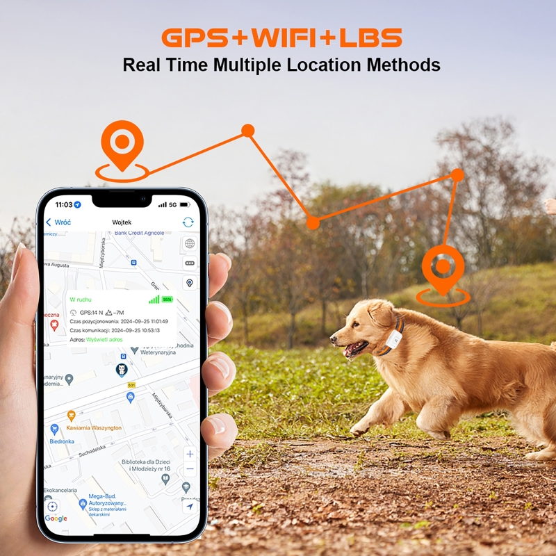 カラフルなLEDフラッシュ付きGPSペットトラッカー、4Gス - Pet Gps Tracker Collar のレビューと価格